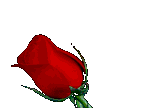 fleur