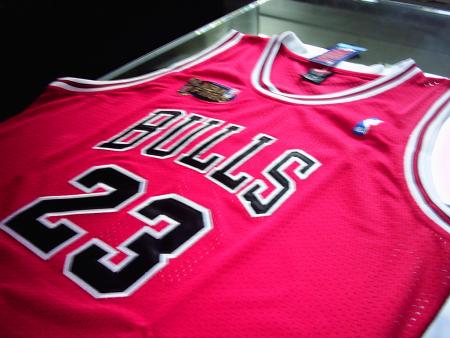 bulls